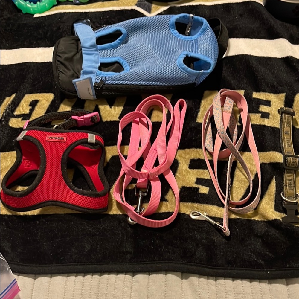 Red and Blue Dog Harness Set with Pink Leashes